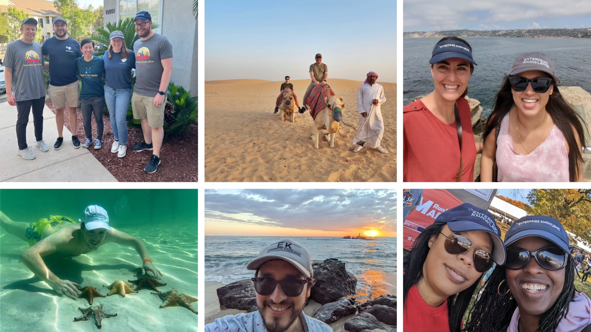 Mosaic of Enterprise Knowledge KM Consulting Images from 2022